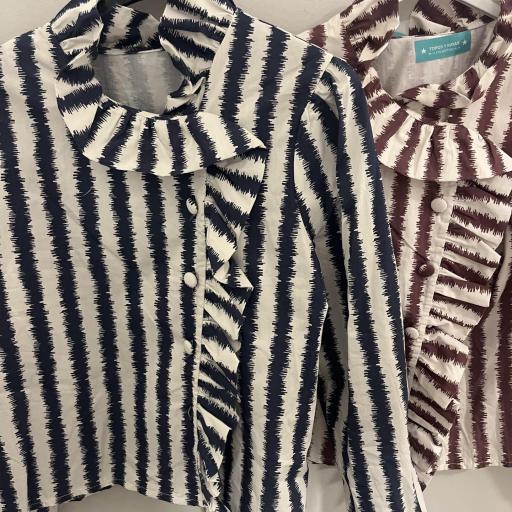 Blusa